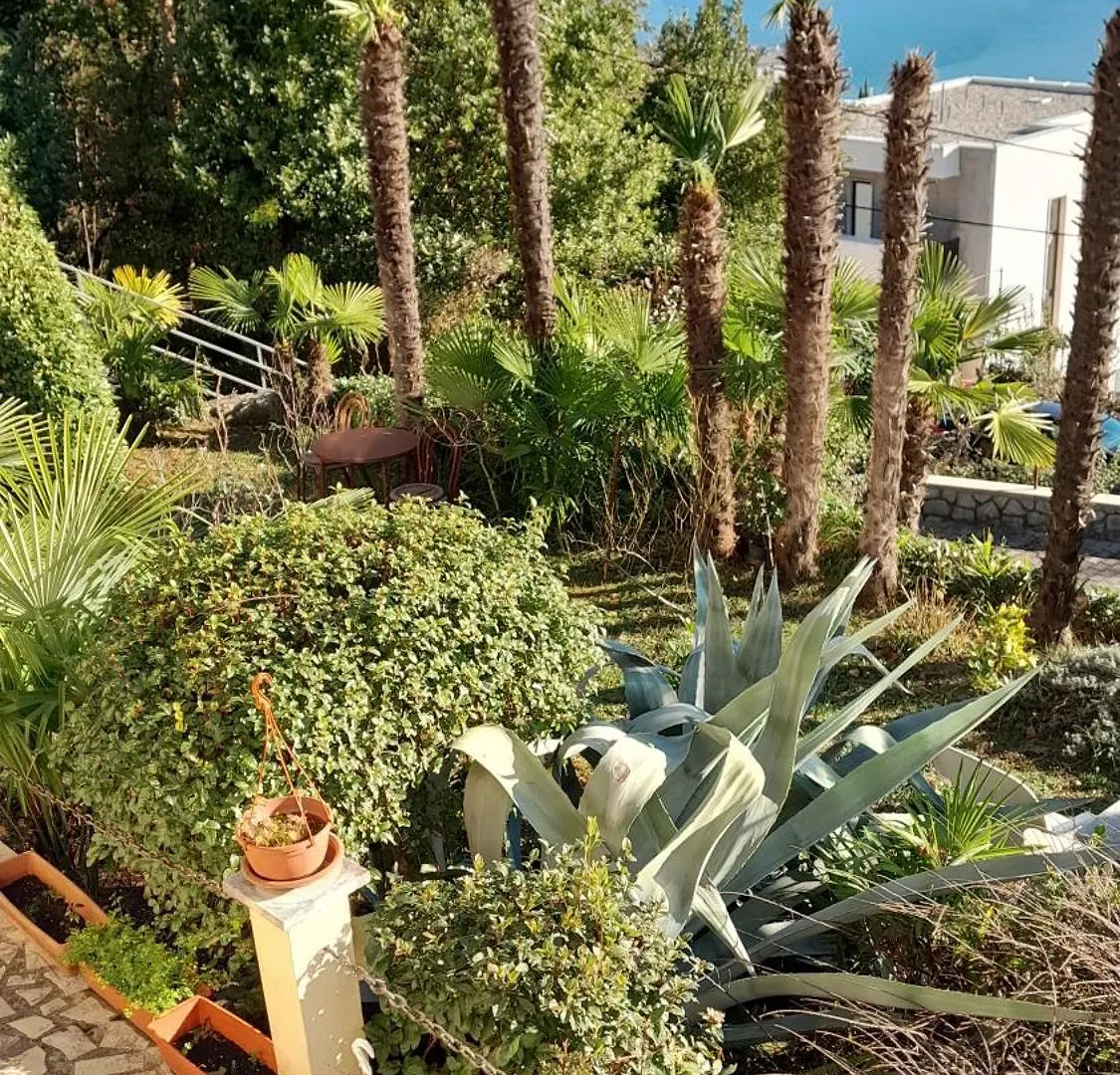 Apartment Ana Opatija